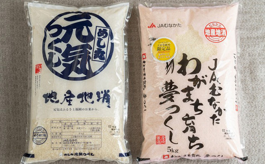 福岡の美味しいお米 ・ 夢つくし ＆ 元気つくし 各5kg 合計10kg
