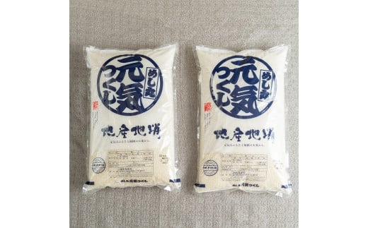 福岡の美味しいいお米 ・ 元気つくし 5kg×2袋 合計10kg