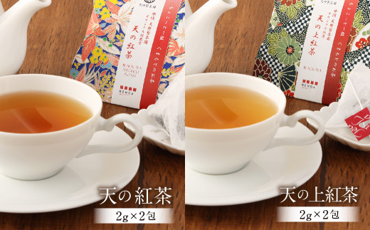 ちょこっと一服 くまもとのお茶セット 10種 緑茶 紅茶 ほうじ茶