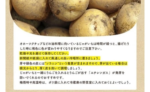 先行予約 宮崎県産 じゃがいも オホーツクチップ3kg 宮崎県都城市 ふるさとチョイス ふるさと納税サイト