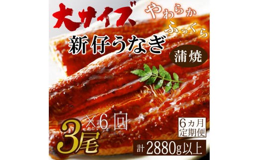 AD-120　【6か月定期便】やわらか新仔うなぎ大サイズ160～170ｇ　3尾×6回　計2880ｇ以上