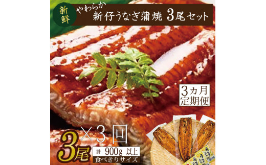 AD-110　【3か月定期便】やわらか新仔うなぎ食べ切りサイズ100～120g　3尾×3回　計900ｇ以上