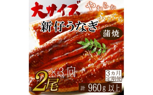 AD-123　【3か月定期便】やわらか新仔うなぎ大サイズ160～170ｇ　2尾×3回　計960ｇ以上