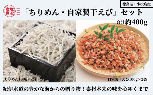 （容量が選べる） 400g 藤政の「ちりめん・自家製干えび」セット 徳島 ちりめん 干し えび 和田島　お取り寄せグルメ　ギフト　進物　詰め合わせ ※北海道・沖縄・離島への配送不可 1325808 - 徳島県小松島市