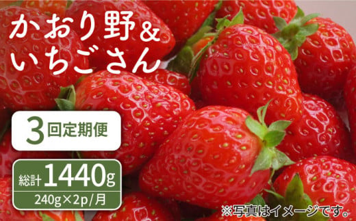 【先行予約】【3回定期便】赤いちご食べ比べ！かおり野＆いちごさん 定期便【StrawberryFarm-K】 [IBJ007] 369440 - 佐賀県白石町