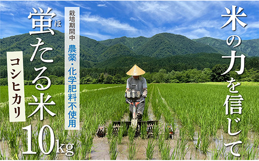 026-002 特別栽培米　蛍たる米コシヒカリ10㎏　