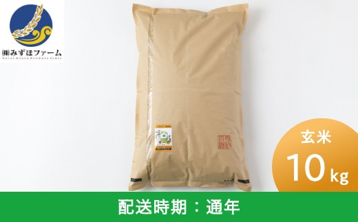 E402-10 【定期便】みずほファーム UKIHA RICE 10kg×12ヶ月 - 福岡県