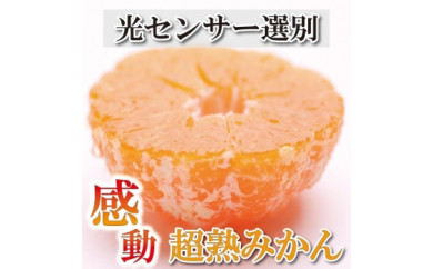 ＜先行予約＞家庭用　超熟有田みかん4kg+120g（傷み補償分）【わけあり・訳あり】【光センサー選果】【2023年11月1日～発送】 485139 - 和歌山県九度山町
