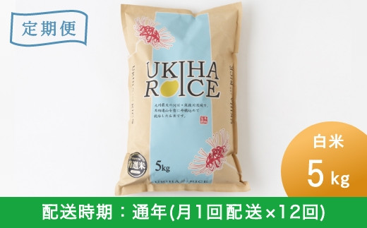 E402-10 【定期便】みずほファーム UKIHA RICE 10kg×12ヶ月 - 福岡県