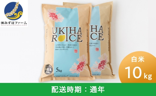 E443-10 みずほファーム UKIHA RICE PREMIUM 10kg - 福岡県うきは市