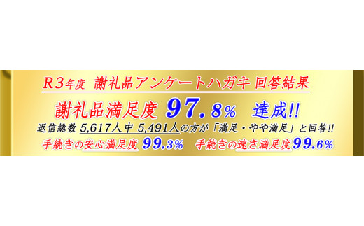 ハンドメイド 八幡帆布鞄リュック・名入れ可能 Mサイズ - 滋賀県近江