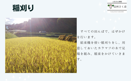 令和５年産　有機栽培米　あきたこまち　５kg〔MA-01〕|誠農園