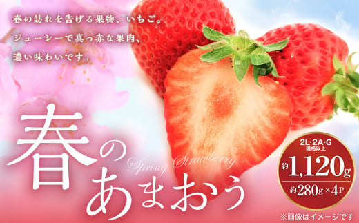 【2024年3月上旬より順次発送】春のあまおう  約280g×4パック 合計約1.1kg (2L・2A・G規格以上) いちご 苺 イチゴ フルーツ 果物