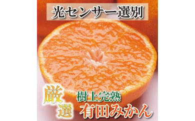 ＜11月より発送＞厳選 完熟有田みかん5kg+150g（傷み補償分）