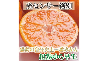 ＜11月より発送＞厳選 超熟有田みかん3kg+90g（傷み補償分）