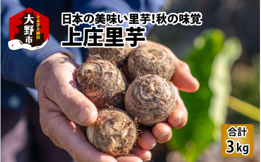 福井県大野市の越前おおのブランド農産物 里芋 期間限定のおいしさです 福井県大野市 ふるさと納税 ふるさとチョイス