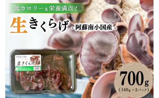 低カロリー＆栄養満点！阿蘇・南小国産の肉厚生きくらげ（140g×5パック）