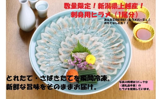 数量限定 新潟県上越市産 刺身用ヒラメ 約600ｇ 1尾分 新潟県上越市 ふるさとチョイス ふるさと納税サイト