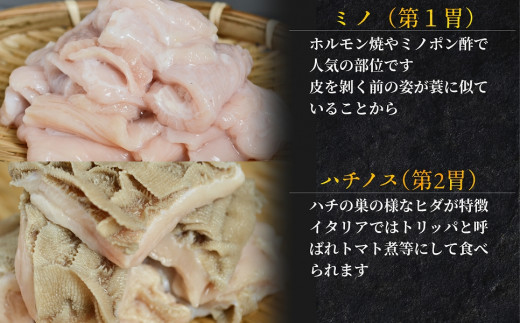 焼肉にももつ鍋にも！これからの季節にぴったり！