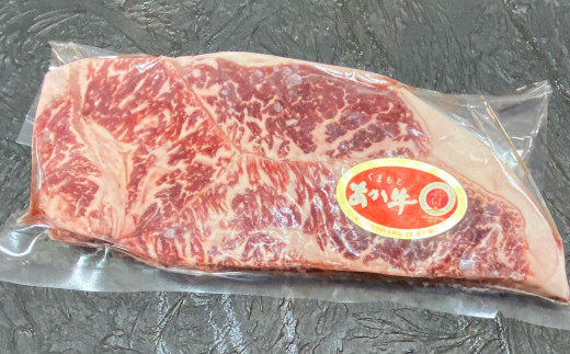 あか牛 阿蘇溶岩焼きセット(にんにくレモンステーキ:300g✕1枚)溶岩プレート付き
