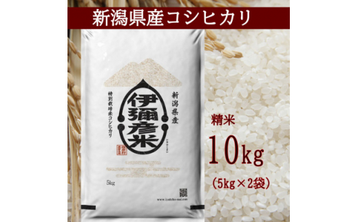 ＜新米＞ 令和4年産 新潟県産 特別栽培米 コシヒカリ 「伊彌彦米」 10kg【1006486】