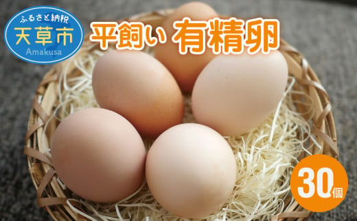 S061-004_平飼い 有精卵 30個 卵 たまご 317014 - 熊本県天草市