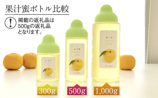 熊本 杉養蜂園 【ゆず蜜×マンゴー】果汁入り はちみつ 500g 2種 計1kg