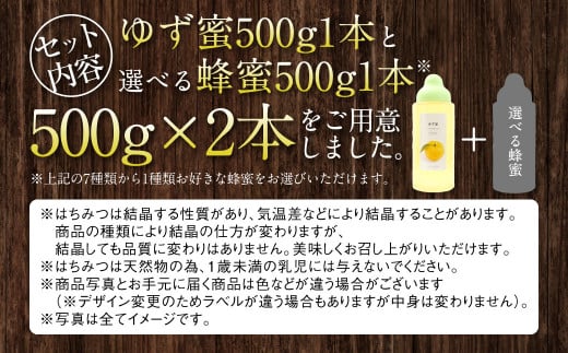 熊本 杉養蜂園 【ゆず蜜×ブルーベリー】果汁入り はちみつ 500g 2種 計