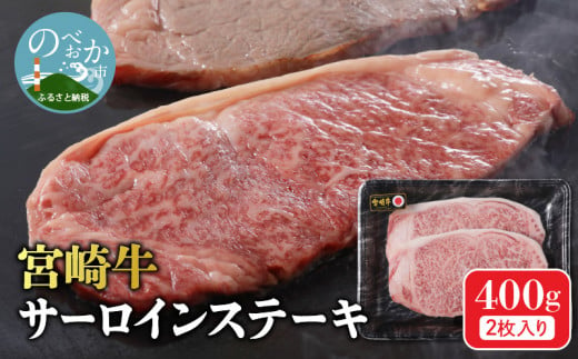 宮崎牛 サーロインステーキ 2枚 400g N0140-