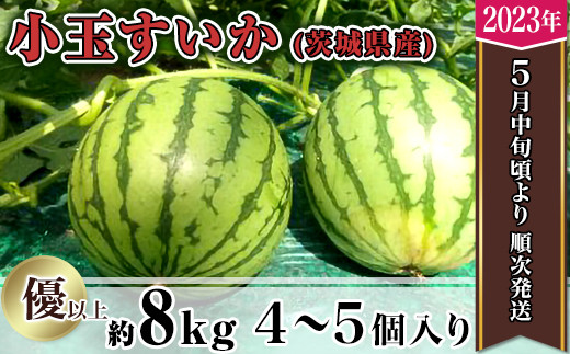 12-4茨城県産小玉すいか約8kg（4～5個）【2023年5月中旬～6月中旬ごろ発送予定】