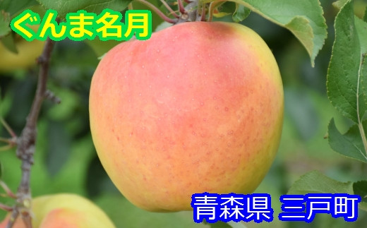 りんご【ぐんま名月】12～18玉（約5kg）【2023年産・先行予約】