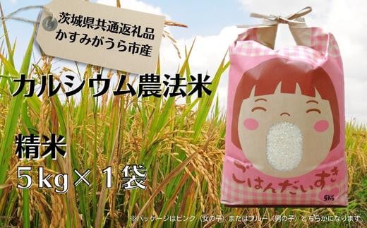 カルシウム農法米　精米5kg（茨城県共通返礼品・かすみがうら市産） 414639 - 茨城県鉾田市