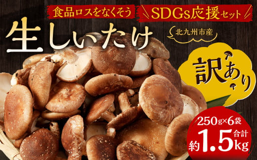 【訳あり】北九州市産 生しいたけ 「食品ロスをなくそうSDGs応援セット」250g×6袋 約1.5kg