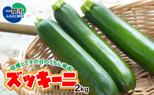 ズッキーニ 2kg 収穫してその日のうちに発送！ - 岩手県一関市