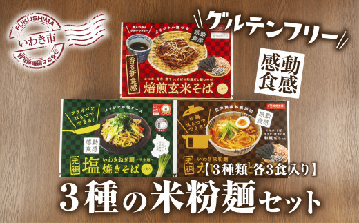 862 グルテンフリー 3種の米粉麺セット いわき米粉麺カレーうどん いわきねぎ麺塩焼きそば 焙煎玄米そば 3食入 各1箱 福島県いわき市 ふるさとチョイス ふるさと納税サイト