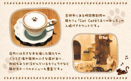 吉祥寺プティット村 ｢Cat Café てまりのおしろ｣ 入城ペアチケット