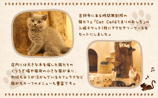 吉祥寺プティット村 ｢Cat Café てまりのおしろ｣ 入城チケット 1枚 アクセサリーケース付き