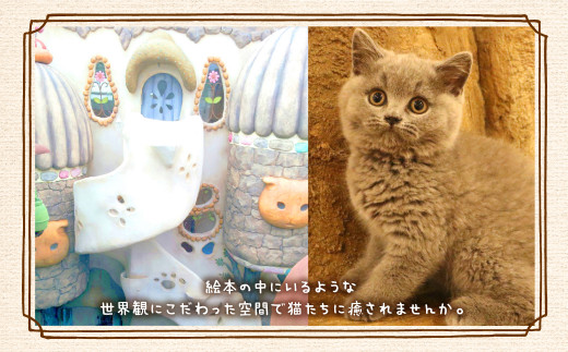 吉祥寺プティット村 ｢Cat Café てまりのおしろ｣ 入城ペアチケット