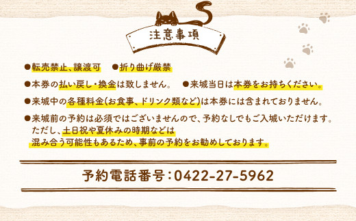 吉祥寺プティット村 ｢Cat Café てまりのおしろ｣ 入城ペアチケット マグカップ1個付き