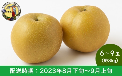 E0 道の駅うきは 豊水梨 6 9玉 約3kg 福岡県うきは市 ふるさとチョイス ふるさと納税サイト