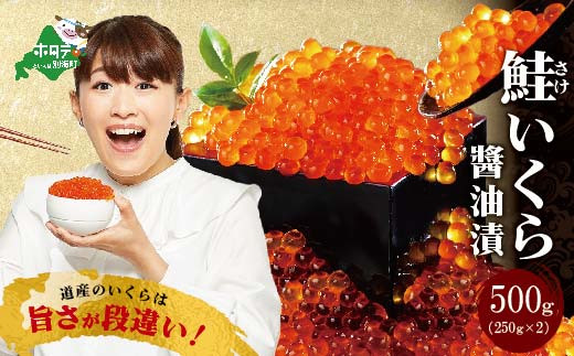 数量限定!北海道産・鮭いくら醤油漬け500g(いくら丼6~8杯分)【be013-018b036】