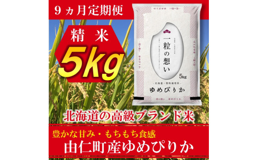 JJ03 北海道由仁町産 松原米穀 令和４年度産ゆめぴりか【定期便