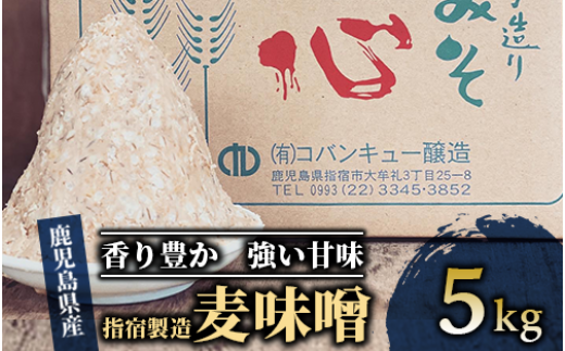 鹿児島県指宿製造の麦味噌5kg(コバンキュー醸造/A-432) みそ 麦 味噌汁 和食