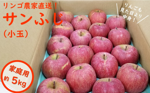 りんご農家直送！松川町産サンふじ家庭用（小玉）