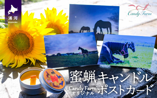 養蜂園が手作りした「蜜蝋キャンドル」と、養老牧場Candy Farmで暮らす馬たちの「ポストカード」のセットです。
