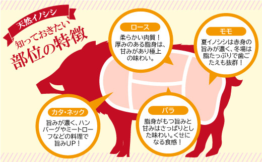 猪肉の部位の特徴