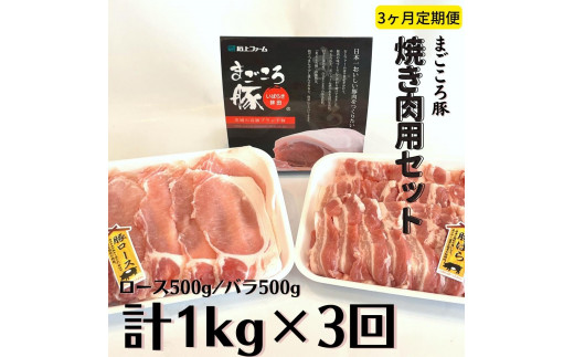 【3ヶ月定期便】まごころ豚　焼き肉用1kg（ロース＆バラ）×3回 381459 - 茨城県鉾田市