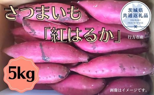 さつまいも「紅はるか」5kg（茨城県共通返礼品／行方市産） 414642 - 茨城県鉾田市