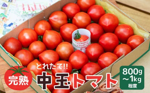 よしよし畑のあま～いトマト（中玉トマト）800g～1kg程度