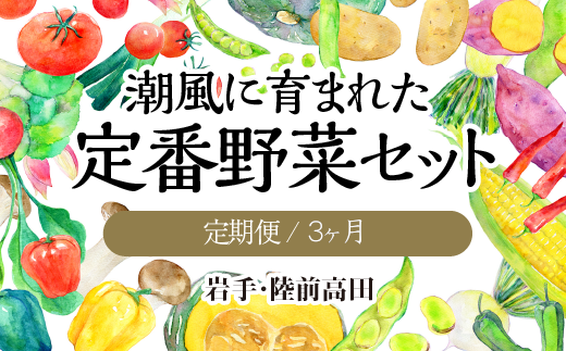 定期便 3ヶ月 潮風に育まれた定番野菜セット 新鮮 産地直送 陸前高田市 岩手県陸前高田市 ふるさとチョイス ふるさと納税サイト